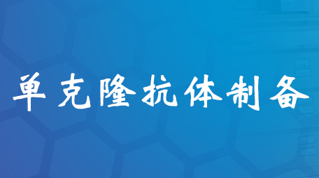 單克隆抗體(ti) 製備