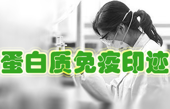 蛋白免疫印跡 蛋白免疫印跡