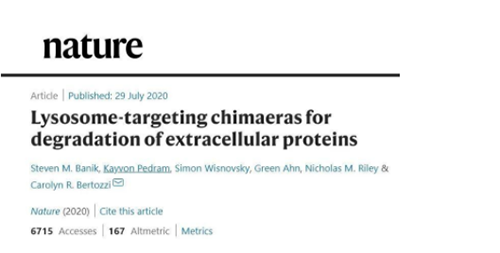 一種不同的蛋白降解技術——溶酶體(ti) 靶向嵌合體(ti) （lysosome-targeting chimaeras, LYTACs）