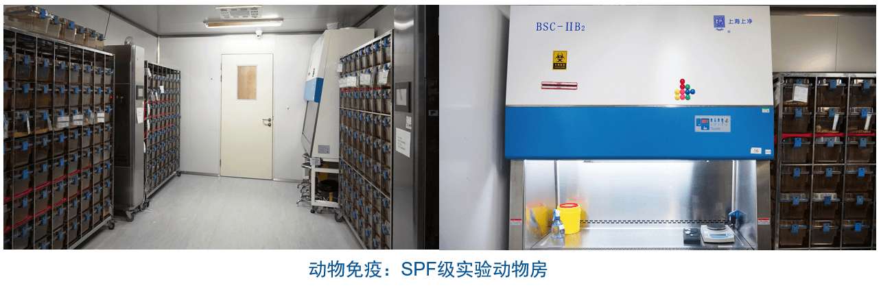 必威betway网址雜交瘤技術平台設備-動物免疫SPF級實驗動物房